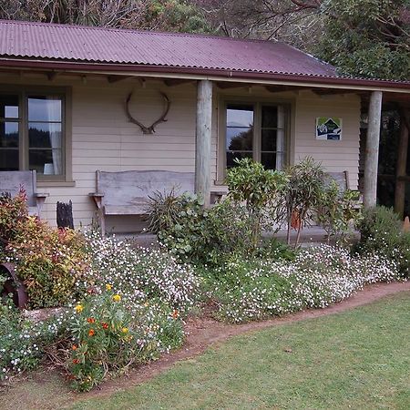 Wheatly Downs Farmstay And Backpackers Hawera Ngoại thất bức ảnh