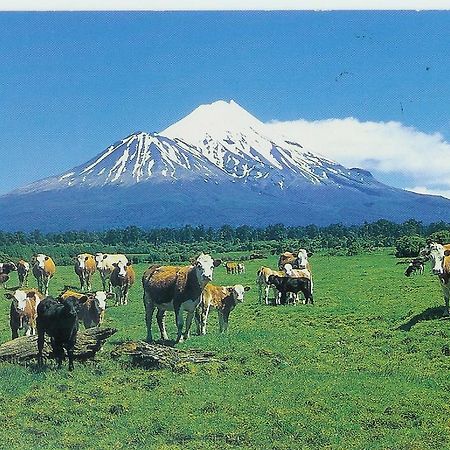Wheatly Downs Farmstay And Backpackers Hawera Ngoại thất bức ảnh